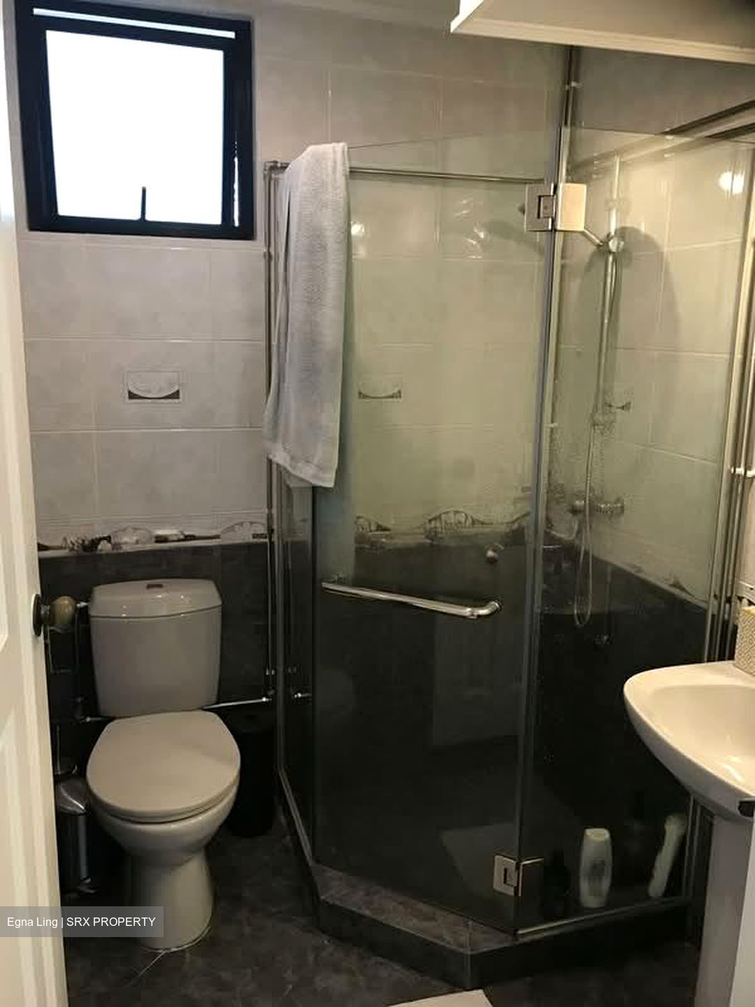Spring Grove (D10), Condominium #599217841